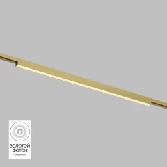 Светильник на шине Denkirs DK5752-SB