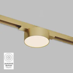 Светильник на шине Denkirs DK5761-SB