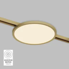 Светильник на шине Denkirs DK5763-SB