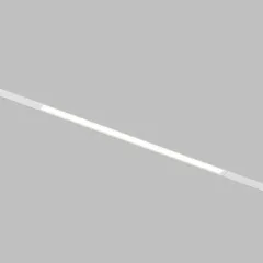 Светильник на шине Denkirs DK8205-WH