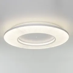 Eurosvet 101003 LED белый