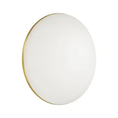 Накладной светильник Sonex 3043/EL