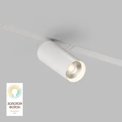 Светильник на шине Denkirs DK8020-WH