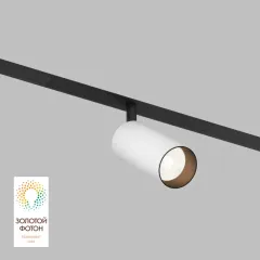 Светильник на шине Denkirs DK8040-BW+BK