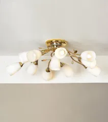 Накладная люстра Lussole LSP-7231