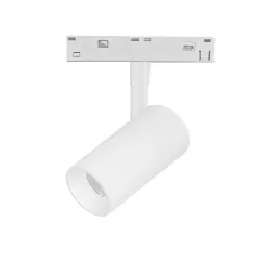 Lightstar 209506CCT