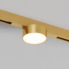 Светильник на шине Denkirs DK4761-SB