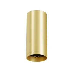Накладной светильник Maytoni C010CL-01MG-N